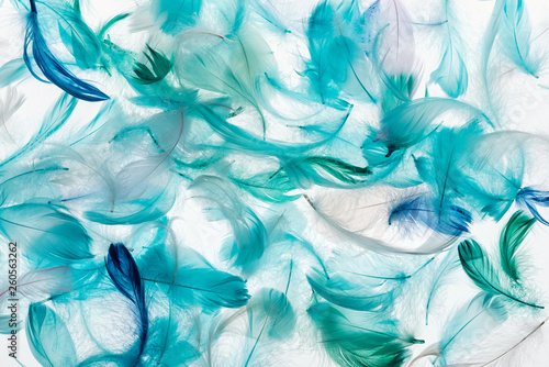 seamless background with multicolored bright green, grey and turquoise lightweight feathers isolated on white