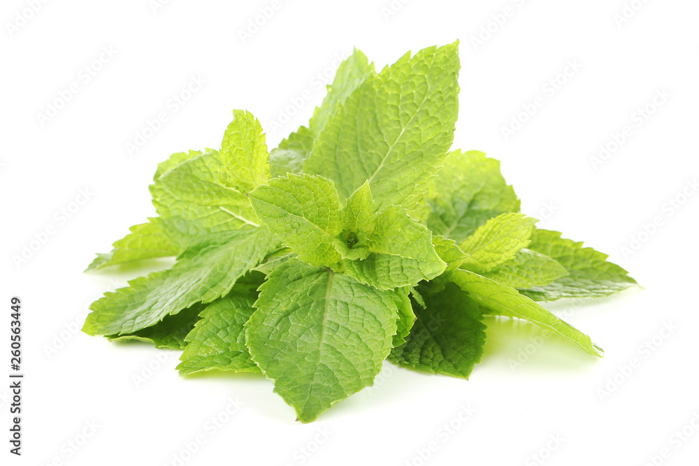 Mint leafs isolated on white background Mint leafs isolated on white background