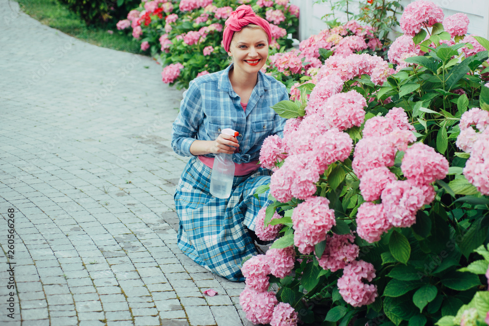 Fototapeta premium woman care of flowers in garden. Flower care and watering. soils and fertilizers. Greenhouse flowers. happy woman gardener with flowers. hydrangea. Spring and summer. Living a green life