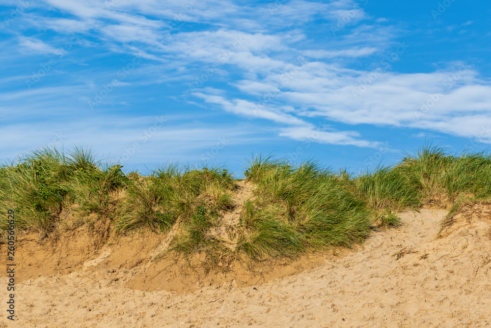 sand dunes