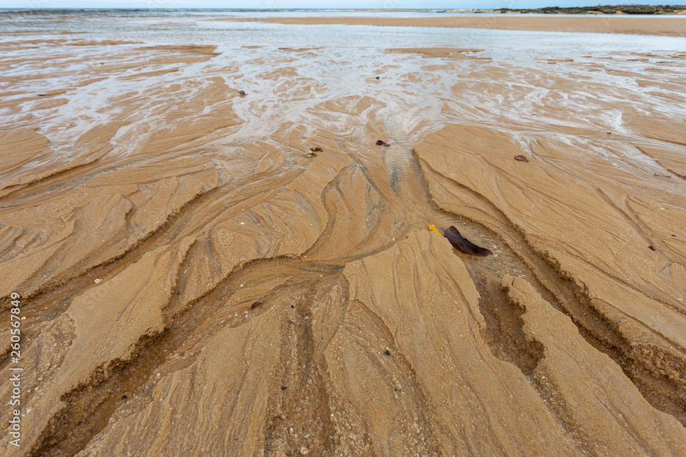Fototapeta premium texture of sand