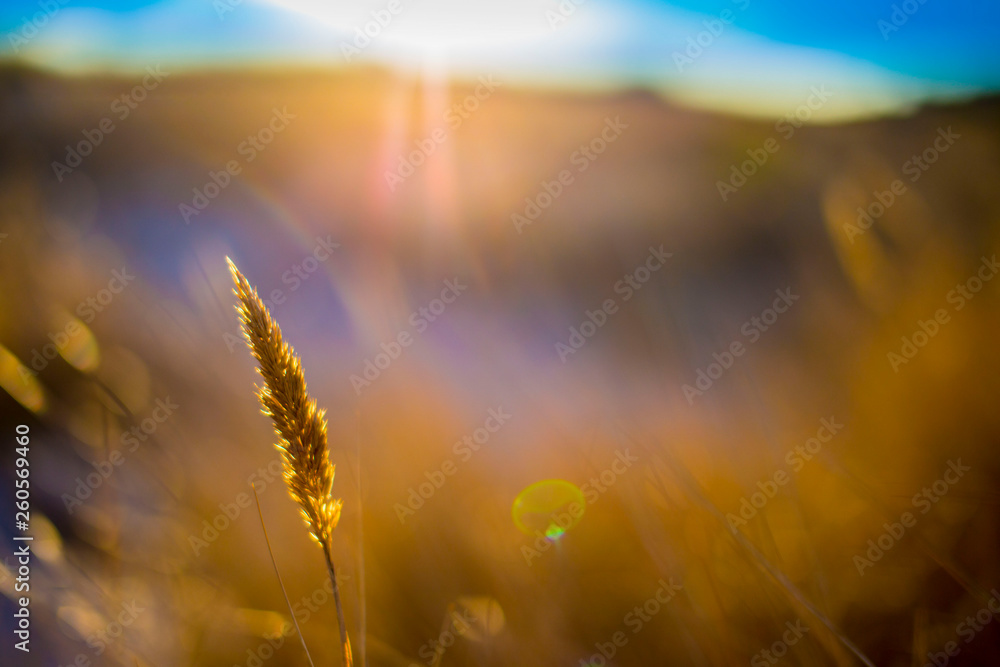 Obraz premium Beach winter day