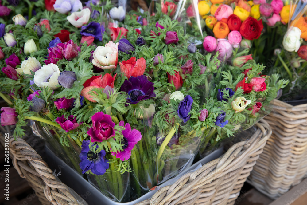 Spring. Beautiful bouquets of Anemone coronaria flowers in red, blue, violet, white colors in the garden shop. Spring. Beautiful bouquets of Anemone coronaria flowers in red, blue, violet, white colors in the garden shop.