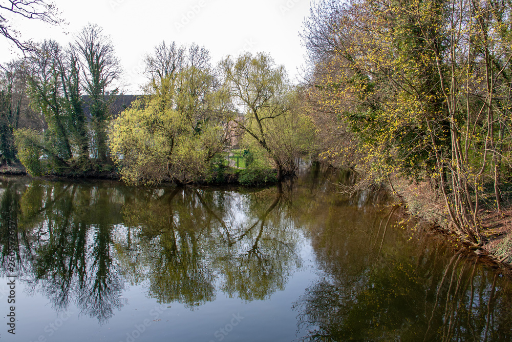 View from the river 