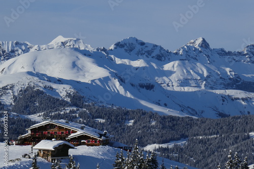 chalet pistes megève
