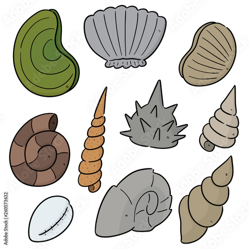 vector set of sea shell