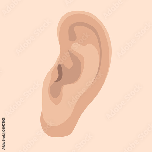 human ear, vector illustration,flat style, profile photo