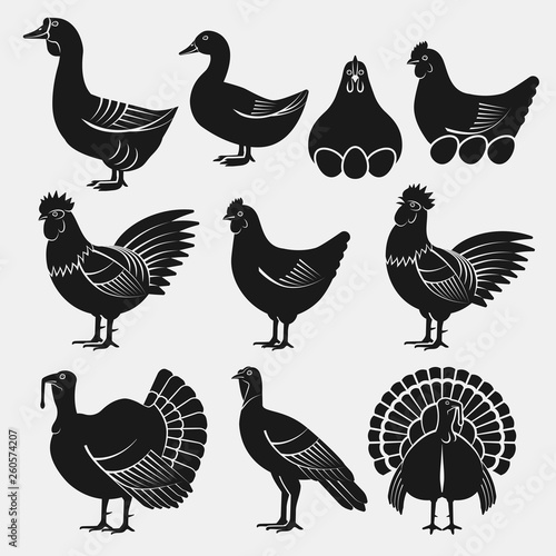 Poultry silhouettes set. Domestic fowls icons