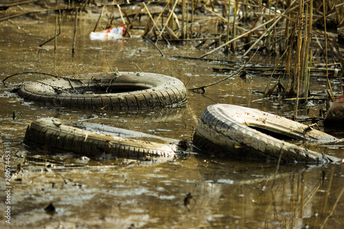 Black round discarded tires from under the car lie at the bottom of a green pond surrounded by forest