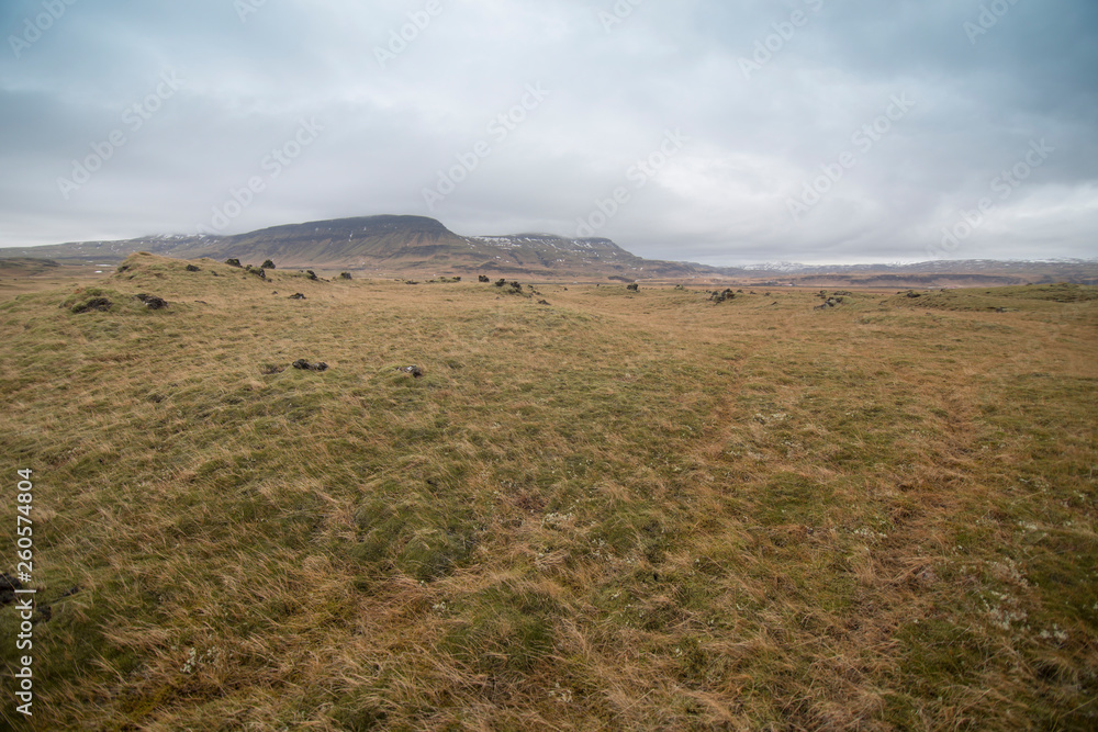 Road trip in Iceland landscape