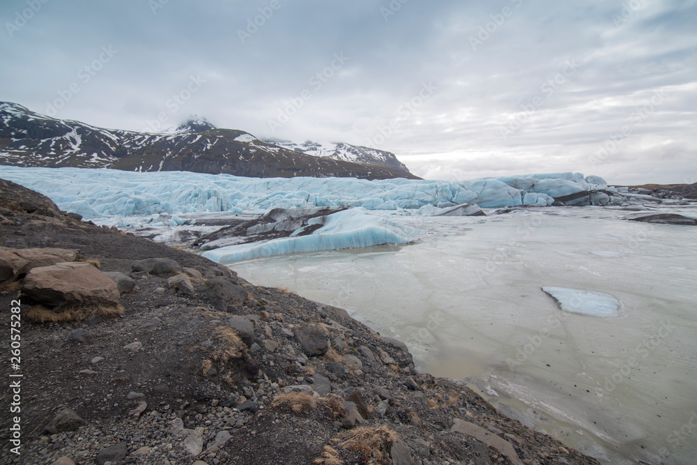 Fototapeta premium Svinafellsjokull glacier in Iceland