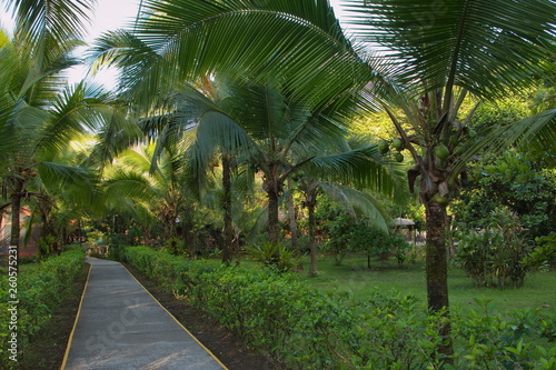 Garden in Evergreen Lodge in Tortuguero NP in Costa Rica