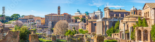 Roman Forum in sunny day  Rome  Italy