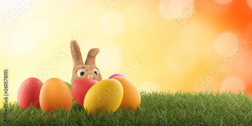 Easter bunny is hiding anxi...