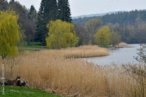 losheimer stausee photo