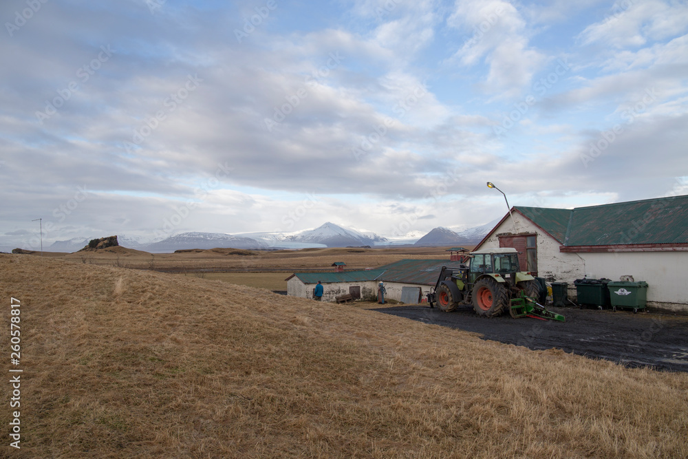 Fototapeta premium Farmland in Iceland