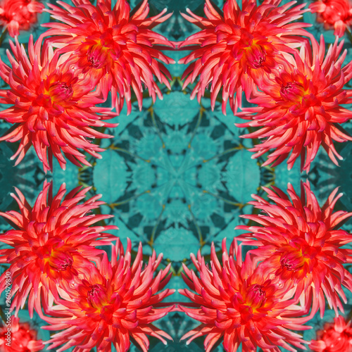 Beautiful floral pattern from coral dahlia.