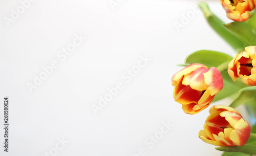 Yellow Flowers. Bouquet of spring flowers that share the delight and beauty of the season. Tulips are the most colorful of all spring flowers.Happy Birthday. Colorful bouquet of tulips.