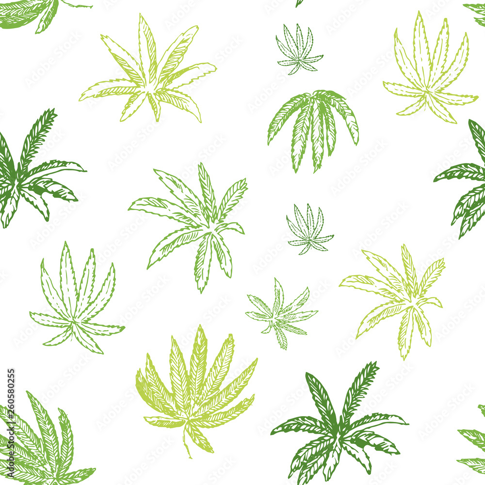 vector hand drawn sketchy cannabis pattern isolated on white.