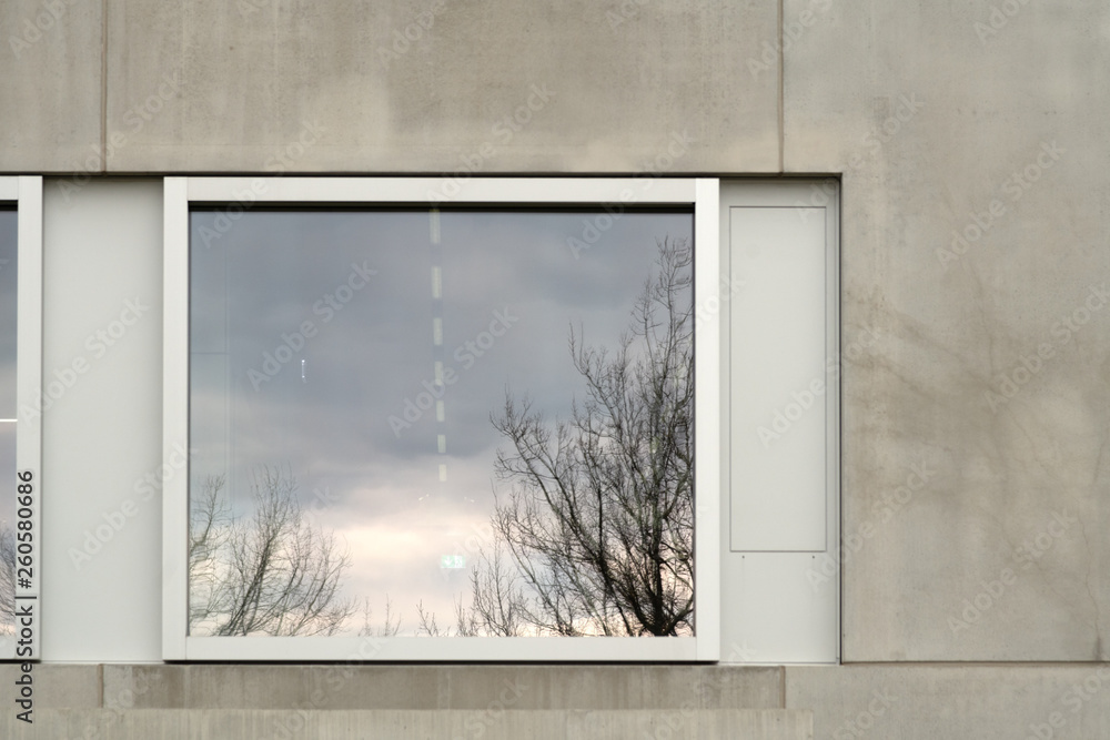 Obraz premium Natur spiegelt sich im Fenster