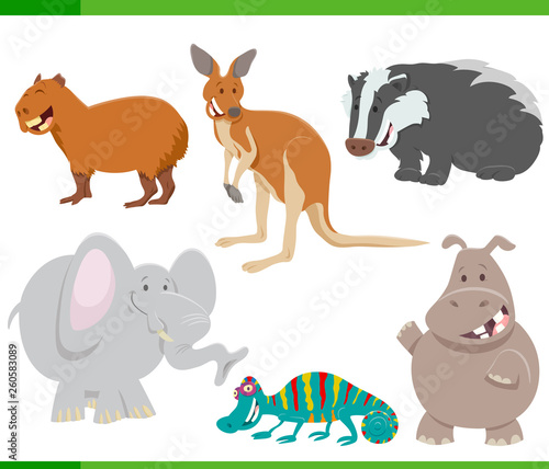 wild animal characters cartoon set