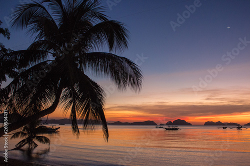 Palm tree and boats silhouettes on bright sunset sky background. Scenic down on tropical beach with mountains. Philippines island. Colorful evening landscape in paradise. Summer travel concept.