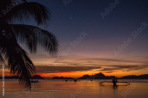 Palm tree and boats silhouettes on bright sunset sky background. Scenic down on tropical beach with mountains. Philippines island. Colorful evening landscape in paradise. Summer travel concept.