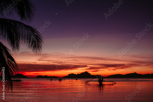Palm tree and boats silhouettes on bright sunset sky background. Scenic down on tropical beach with mountains. Philippines island. Colorful evening landscape in paradise. Summer travel concept. © Nataliia