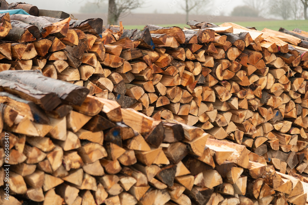 Aufgeschichtete Holzsscheite am Waldrand Aufgeschichtete Holzsscheite am Waldrand