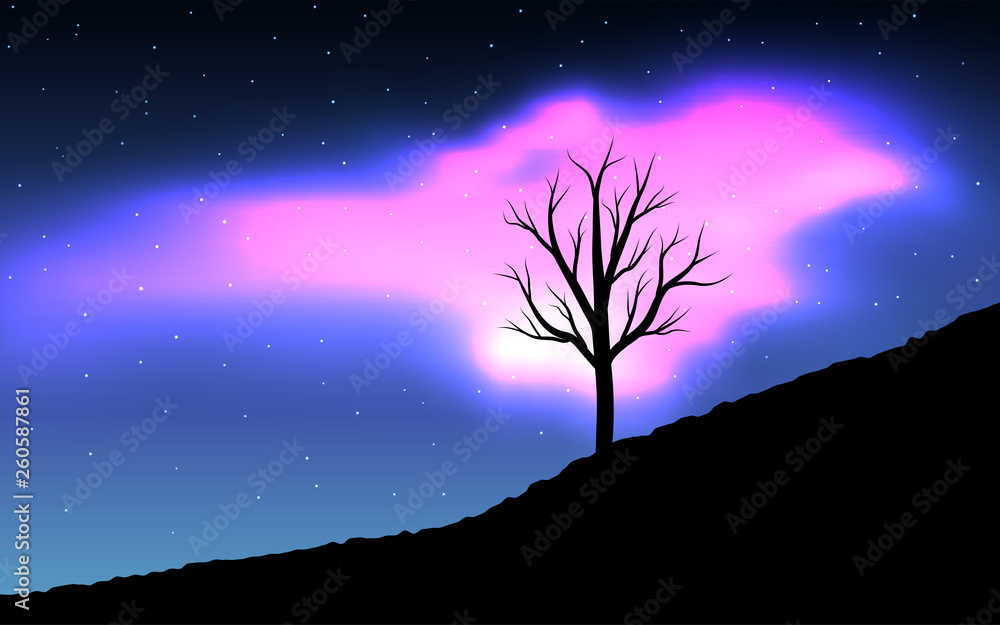 Night landscape of Dry tree and pink aurora. Night landscape of Dry tree and pink aurora.