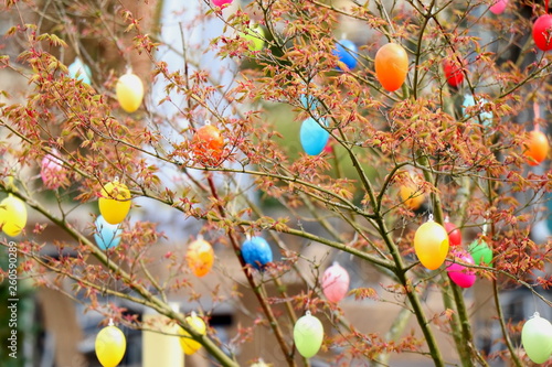 Blurry easter image. Selected focus.  Easter toy plastic eggs hang on the branches of a bush. 