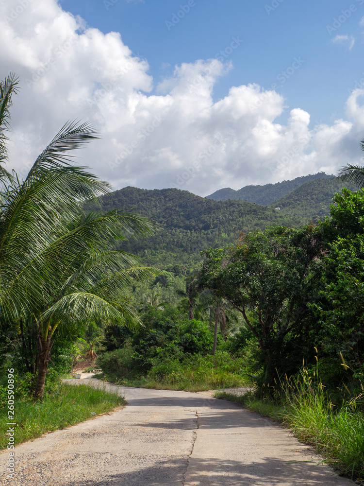 The beautiful roads of Koh Phangan go into the distance. Thailand