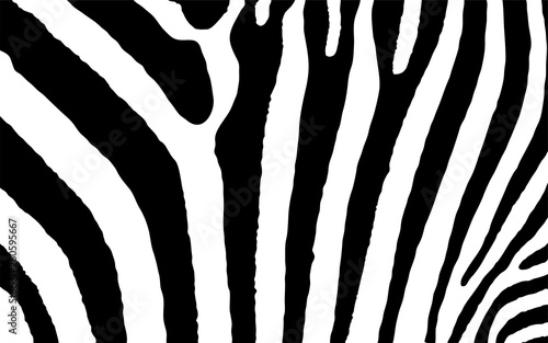 Zebra Animal Print Vektor Grafik