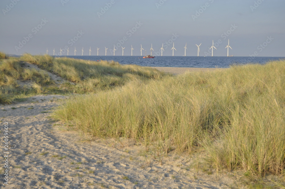Behang Amager beach in Copenhagen, Denmark
