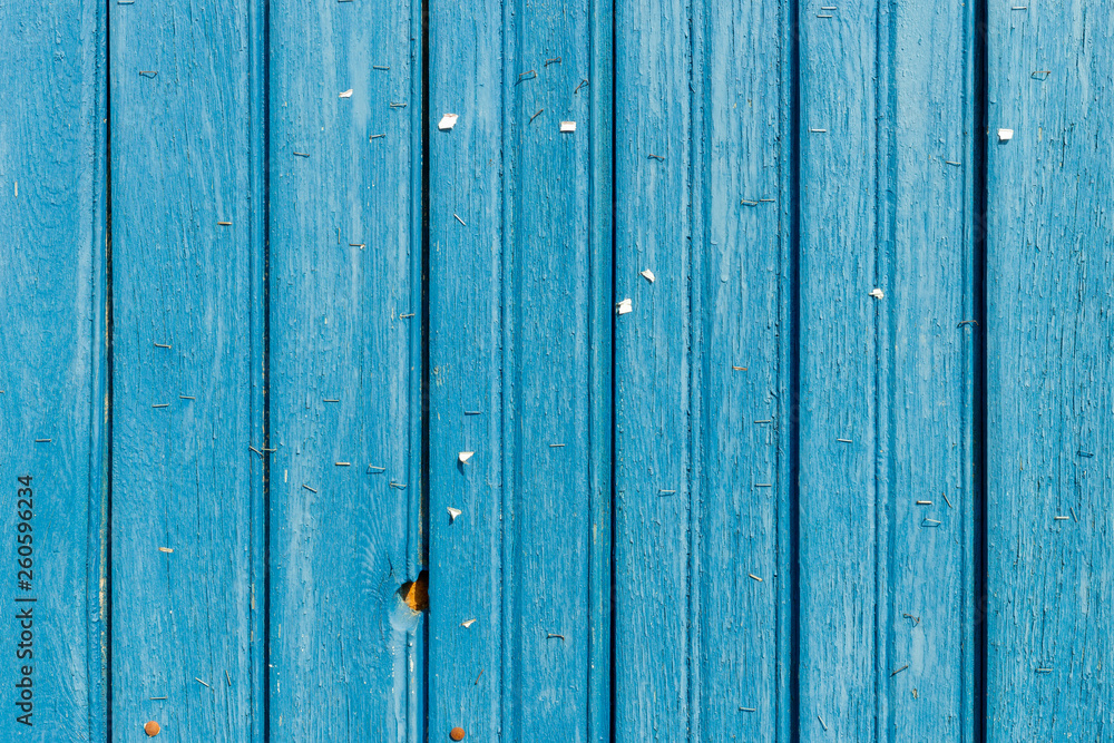 Fototapeta premium Staples on an old wooden wall.