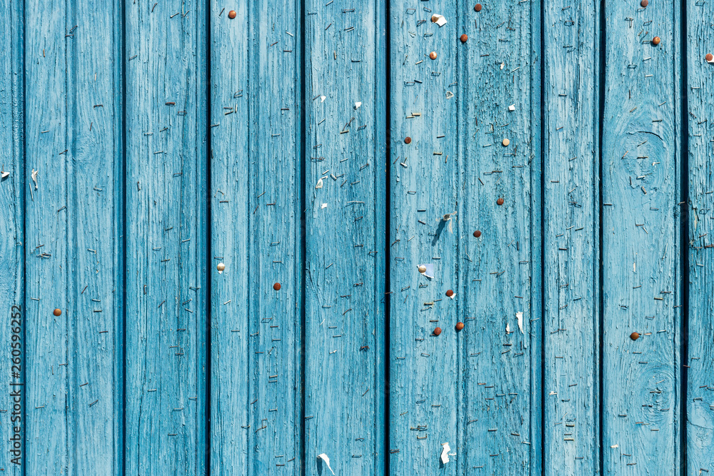 Staples on an old wooden wall. Staples on an old wooden wall.