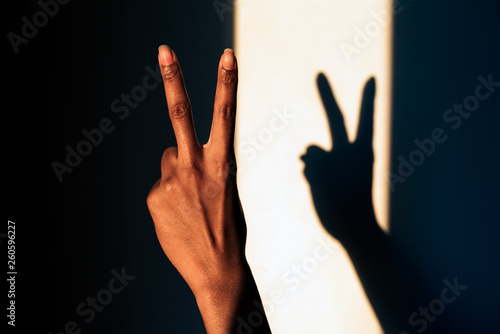 Woman shadow silhouette hands doing gestures