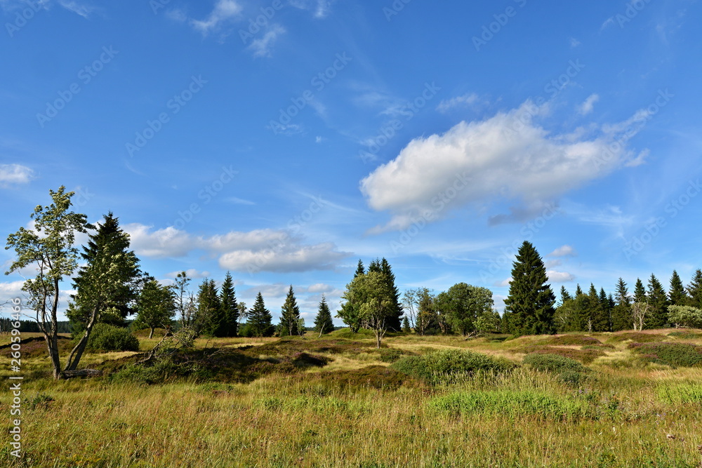 The natural scenery of the Ore Mountains