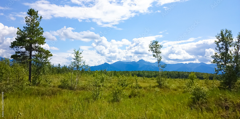 A field of green grass against the sky and Lake Baikal. Summer landscape. Russia. A field of green grass against the sky and Lake Baikal. Summer landscape. Russia.