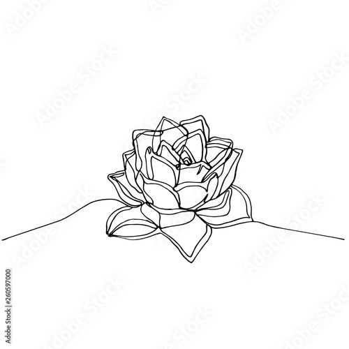 Hand drawn minimalistic succulent, one single continuous black line simple drawing.