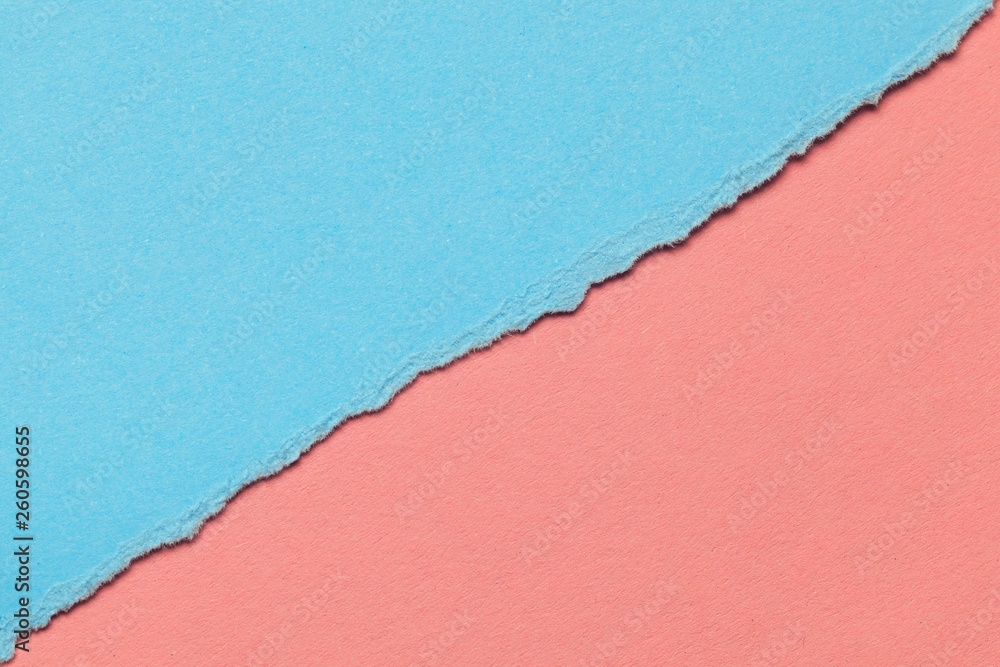 Fototapeta premium Blue and pink paper background are divided horizontally diagonally. Concept two halves of man and woman. Copy space for text.