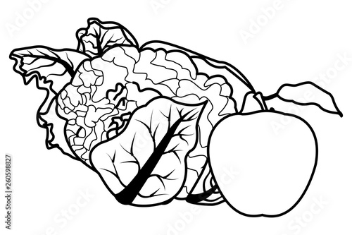 cauliflower and apple black and white