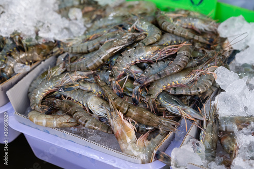 Fresh shrimp in the traditional fresh seafood market, Thailand