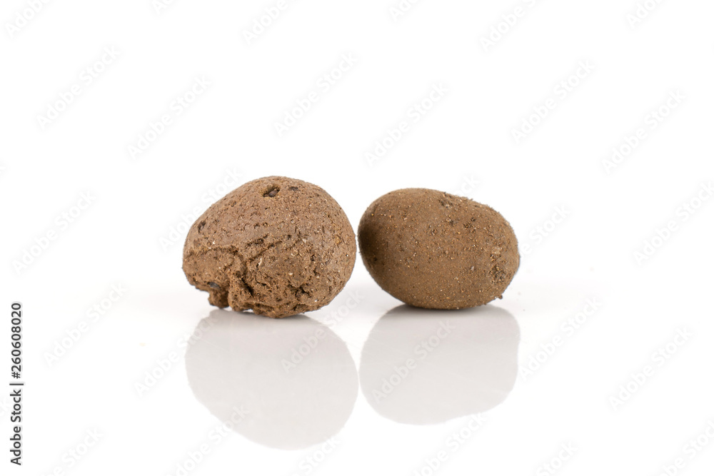 Group of two whole brown clay pebbles (leca) isolated on white background Group of two whole brown clay pebbles (leca) isolated on white background