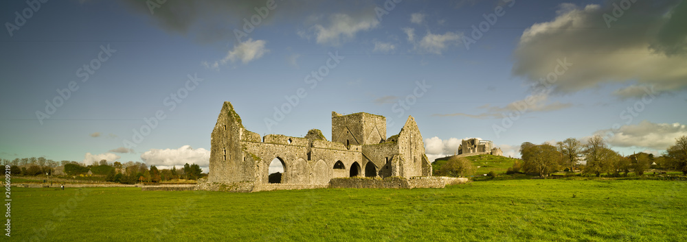 Φωτογραφία Landscape with ruined church and Rock of Cashel, Ireland