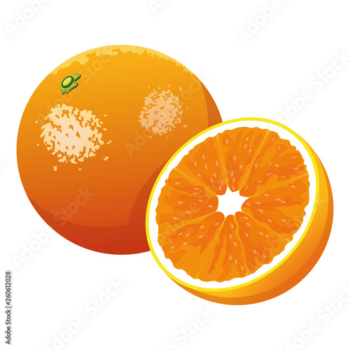 orange icon cartoon