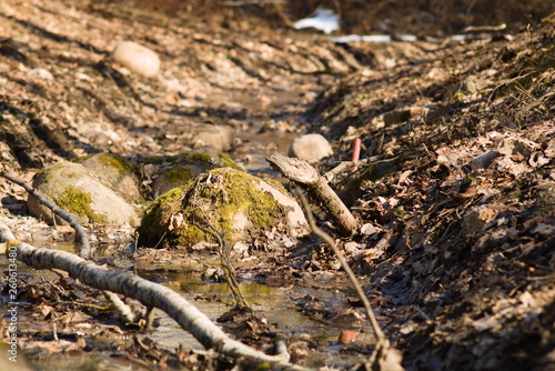 MOSS-covered old stone lies in the Creek