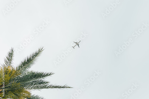 Airliner passing over palm trees