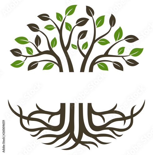 Circular trees and roots suitable for icons, logos, symbols and more