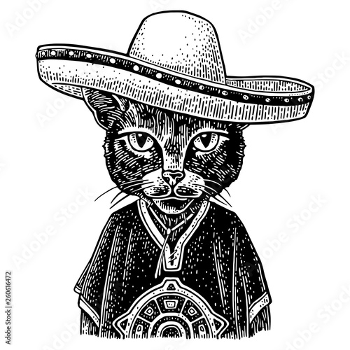 Cat dressed in the poncho, sombrero. Vintage black engraving